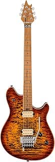EVH Wolfgang Special QM: Save $180!