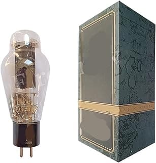 WE300B Vacuum Tube Amplifier Kit: $0 OFF MSRP! 