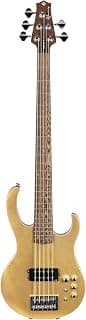 H. Jimenez 5 String Glossy Gold Top Bass Guitar: Save $0 - Unbeatable Price!