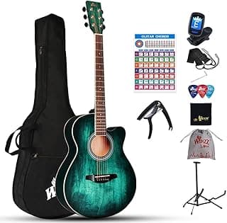 Winzz 40 Inches Acoustic Steel-string Guitar Beginner, Elegant Unique Color Design (Blue-green)