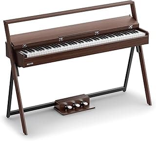 Donner OURA R300: $799.99 (Save $200!)