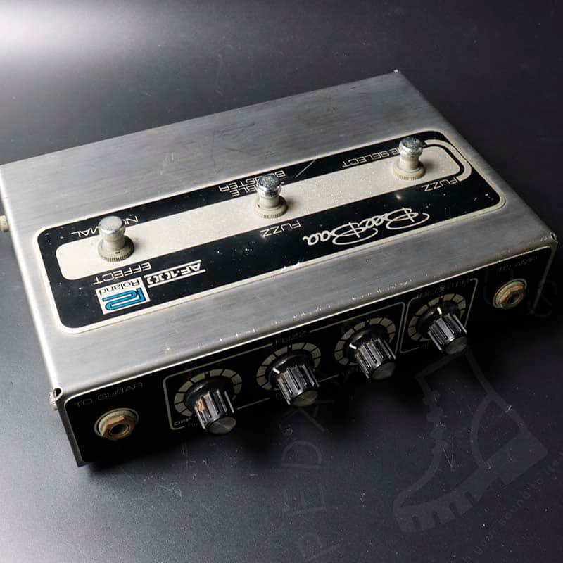 Roland BeeBaa AF-100