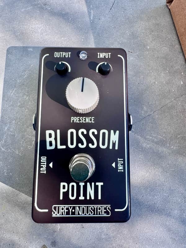 Blossom Point Bliss: Brown Edition for $180!