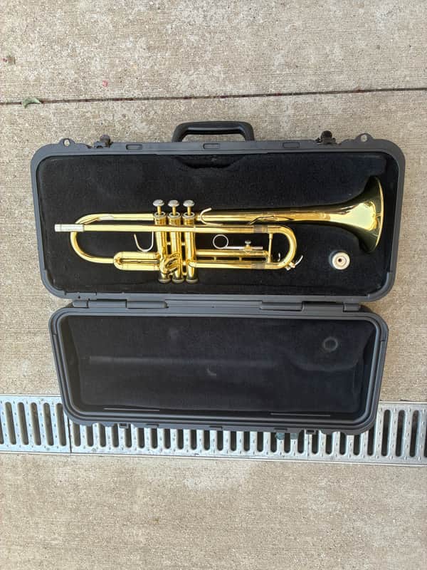 Bronze Bach Trumpet - $200 (Used)!