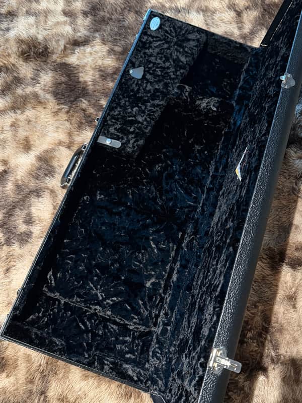 UNBELIEVABLE DEAL: Fender Custom Shop Strat/Tele Case for $7.99!